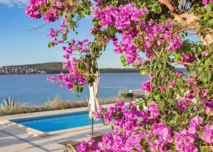 Jan Anka * تروغير